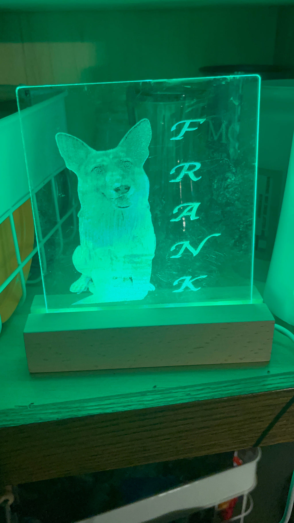 Personalized LED Night Light