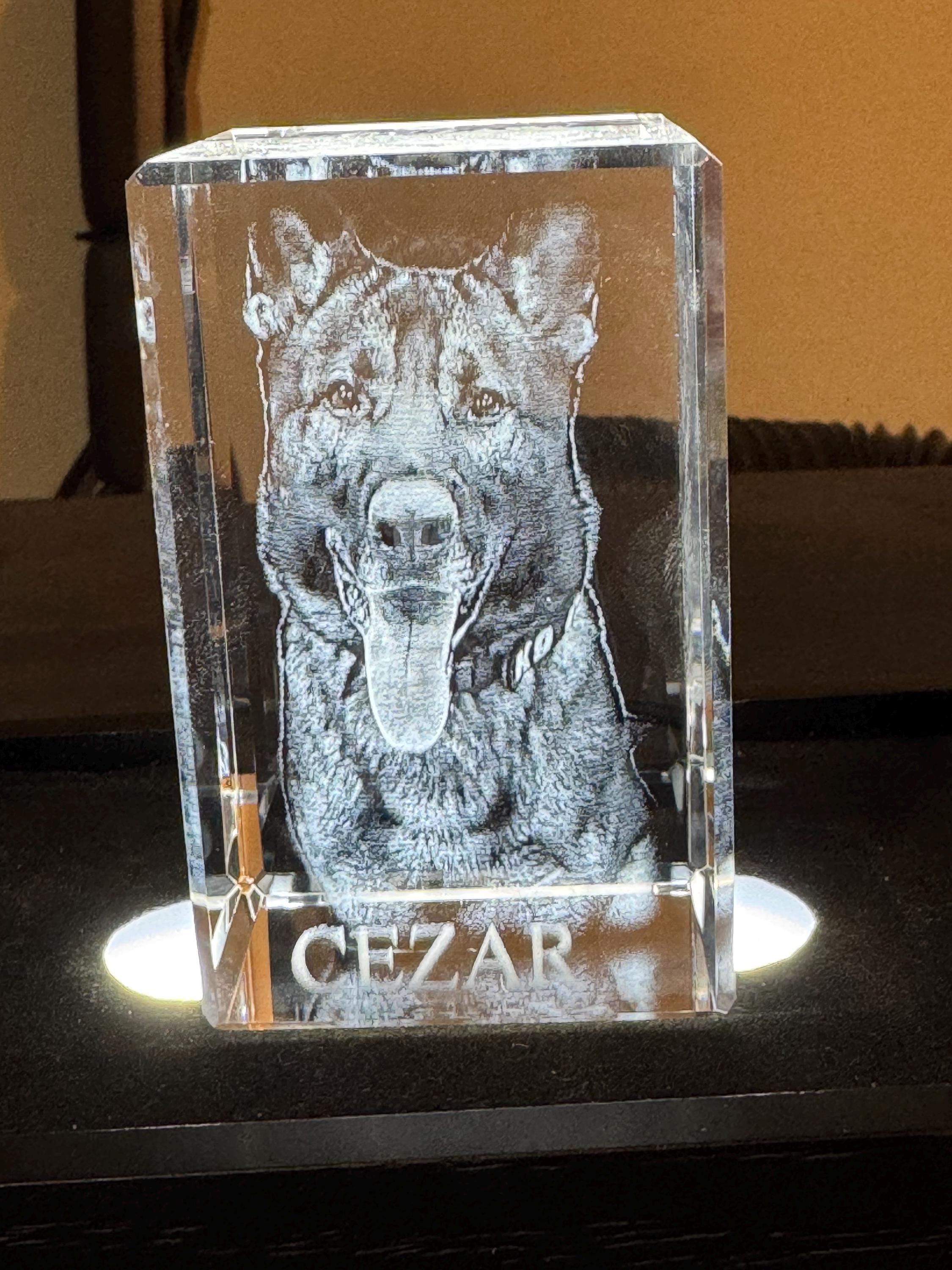 Crystal Photo Block — Pet Memorial Gift