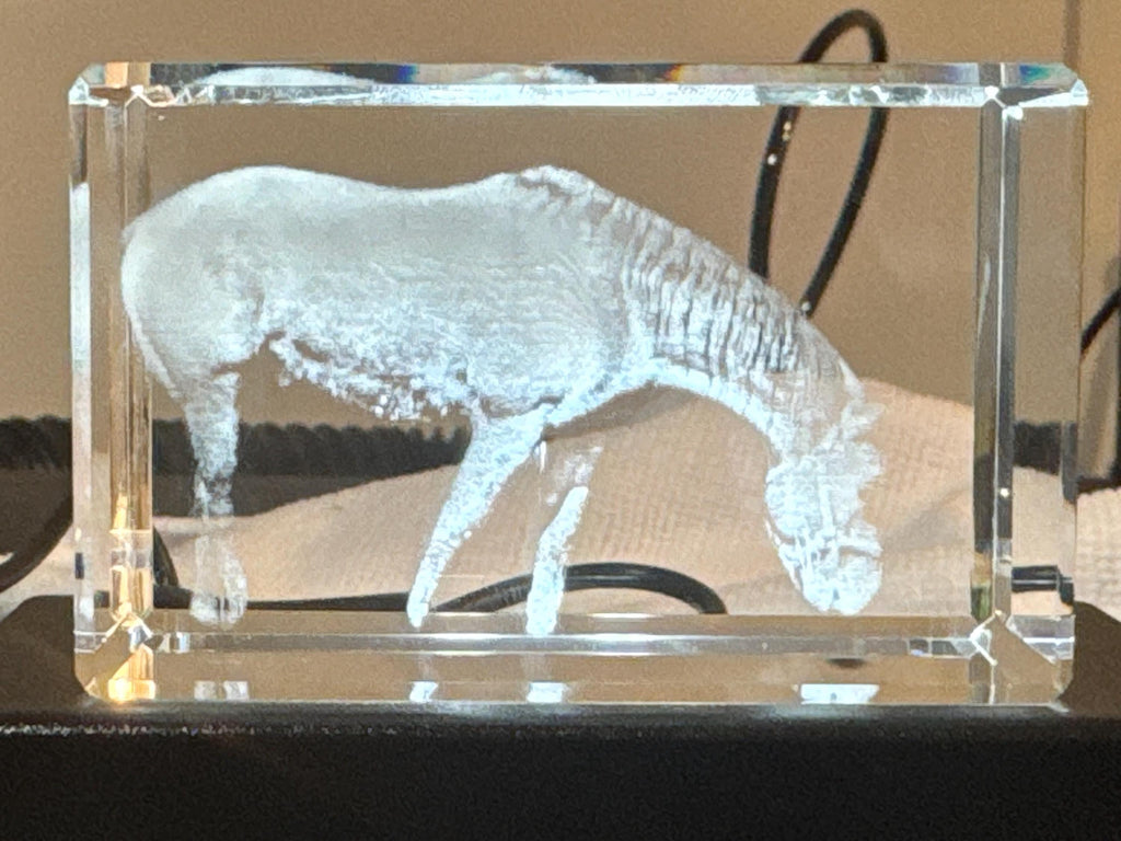 Crystal Photo Block — Pet Memorial Gift